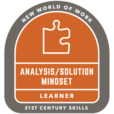 New World of Work Badge - Analysis/Solution Mindset